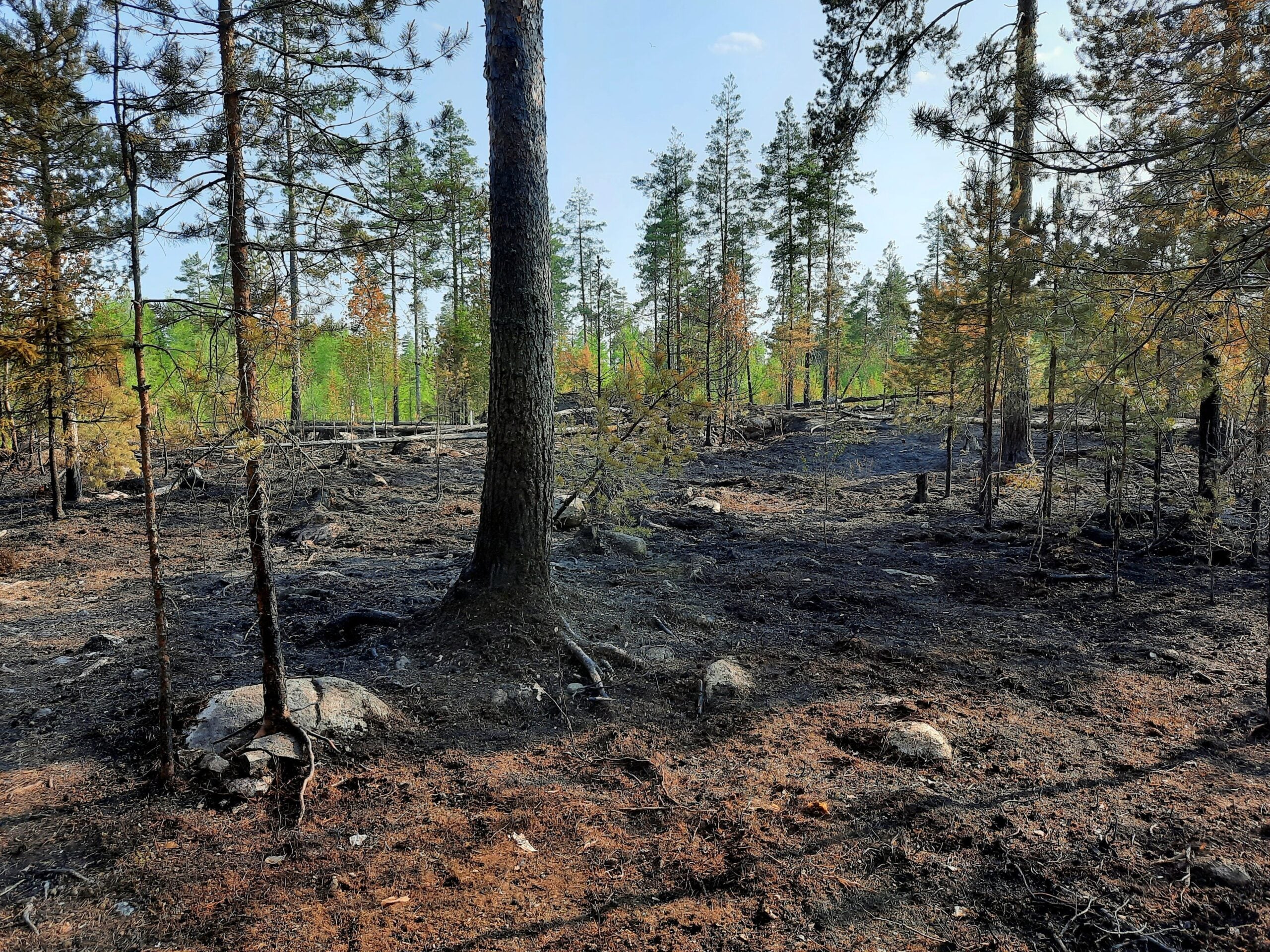 Varoitus maastopalosta, kipinä voi levitä nopeasti