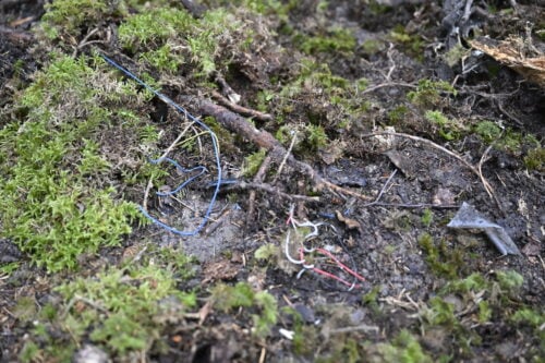 drooni metsässä
