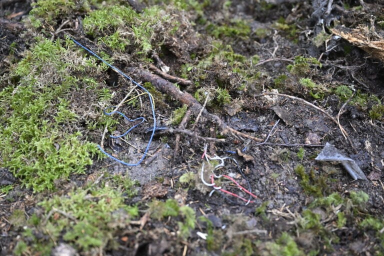 drooni metsässä