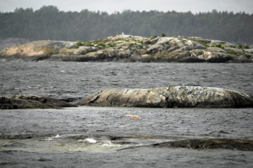 Suomenlahtea. LEHTIKUVA / RONI REKOMAA