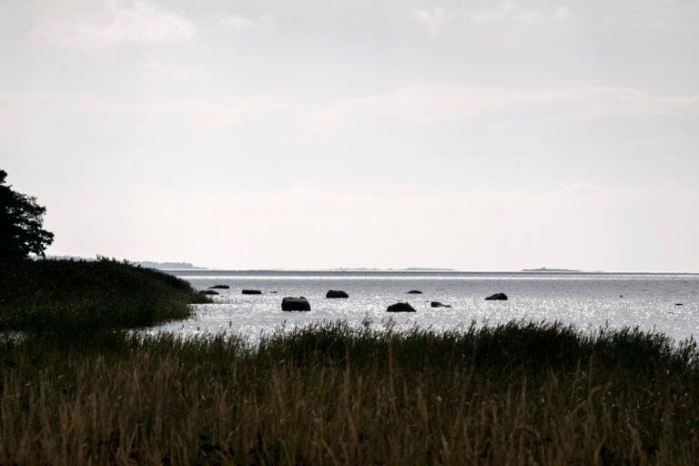 Myös tuuli voi yltyä voimakkaaksi lauantaina. LEHTIKUVA / RONI REKOMAA