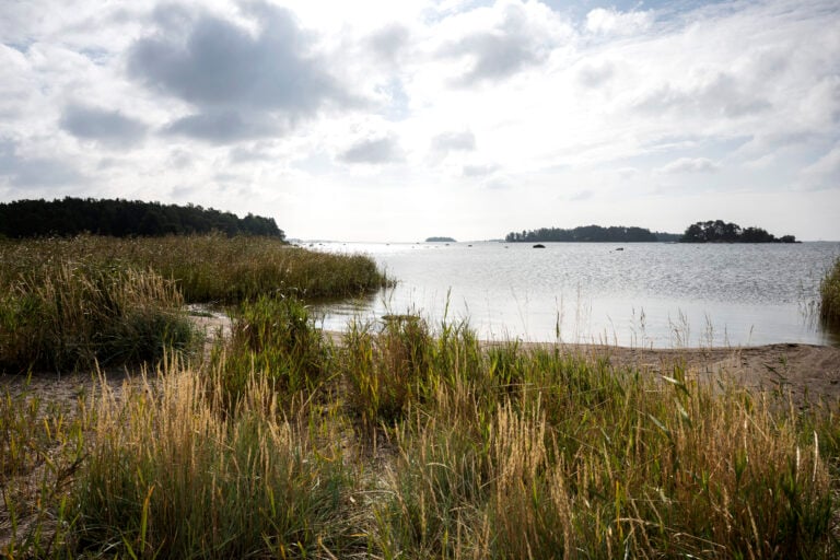 Puolipilvinen keli Kallahdenniemellä Helsingissä 24. elokuuta 2026. LEHTIKUVA / RONI REKOMAA