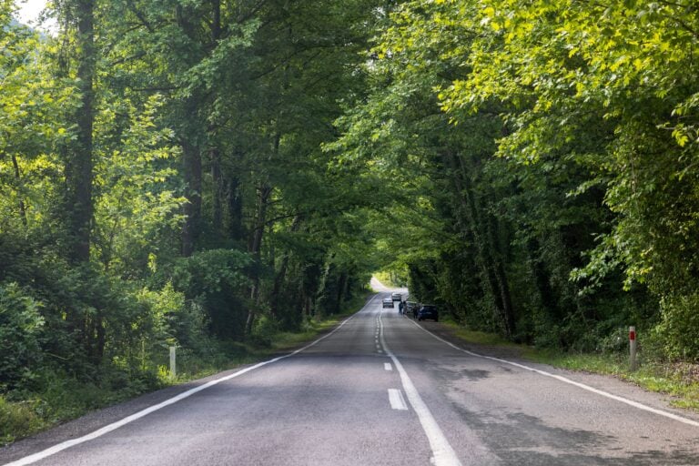 Maantie Ranskassa. / Gökhan Duman.