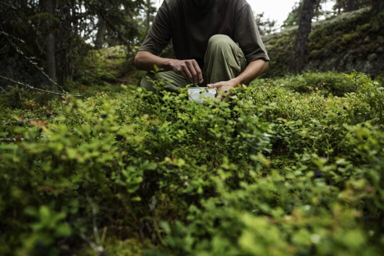 Marjojen poimiminen toisen maalta on sallittua, moni muu asia ei ole. LEHTIKUVA / RONI REKOMAA
