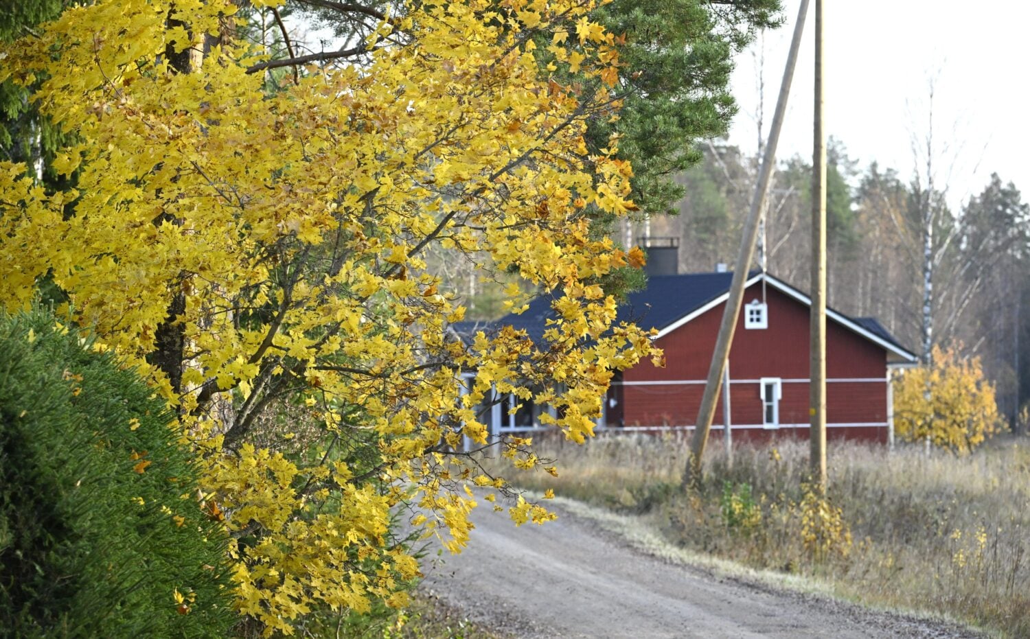 Maaseudun tiestön kunto ei ole juurikaan parantunut viime vuosina. / LEHTIKUVA / HEIKKI SAUKKOMAA