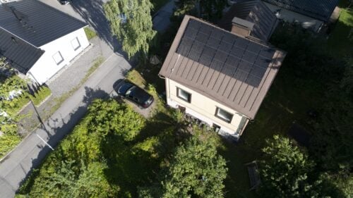 Syksyllä nurmi kerää vararavintoa juuristoonsa. / LEHTIKUVA / ANTTI AIMO-KOIVISTO