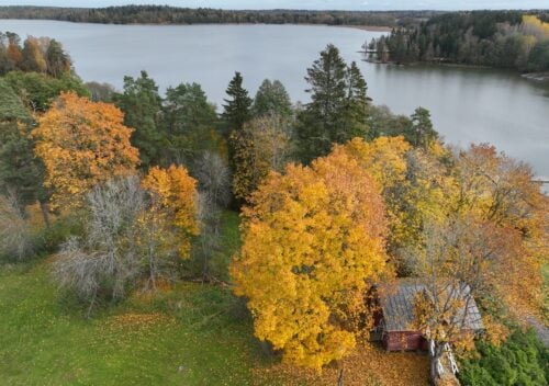 Ruska jäi toimittajalta näkemättä, mutta Suomen luonto ja rauhallisuus tekivät vaikutuksen. LEHTIKUVA / HEIKKI SAUKKOMAA