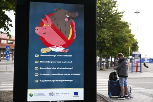 Sikarutosta varoittava viesti Katajanokan terminaalin näytöllä Helsingissä 20. elokuuta 2026. LEHTIKUVA / VILJA SIRVIÖ