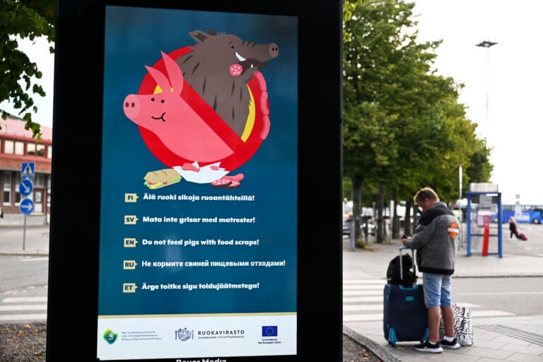 Sikarutosta varoittava viesti Katajanokan terminaalin näytöllä Helsingissä 20. elokuuta 2026. LEHTIKUVA / VILJA SIRVIÖ