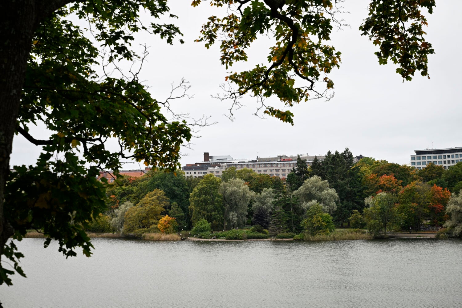 Syksuinen Töölönlahti Helsingissä. LEHTIKUVA / EMMI KORHONEN