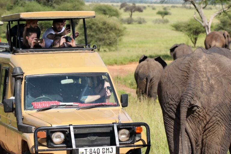 Turisteja safarilla. PEXELS