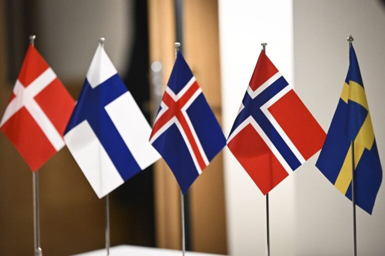 Pohjoismaiden liput rivissä. LEHTIKUVA / EMMI KORHONEN
