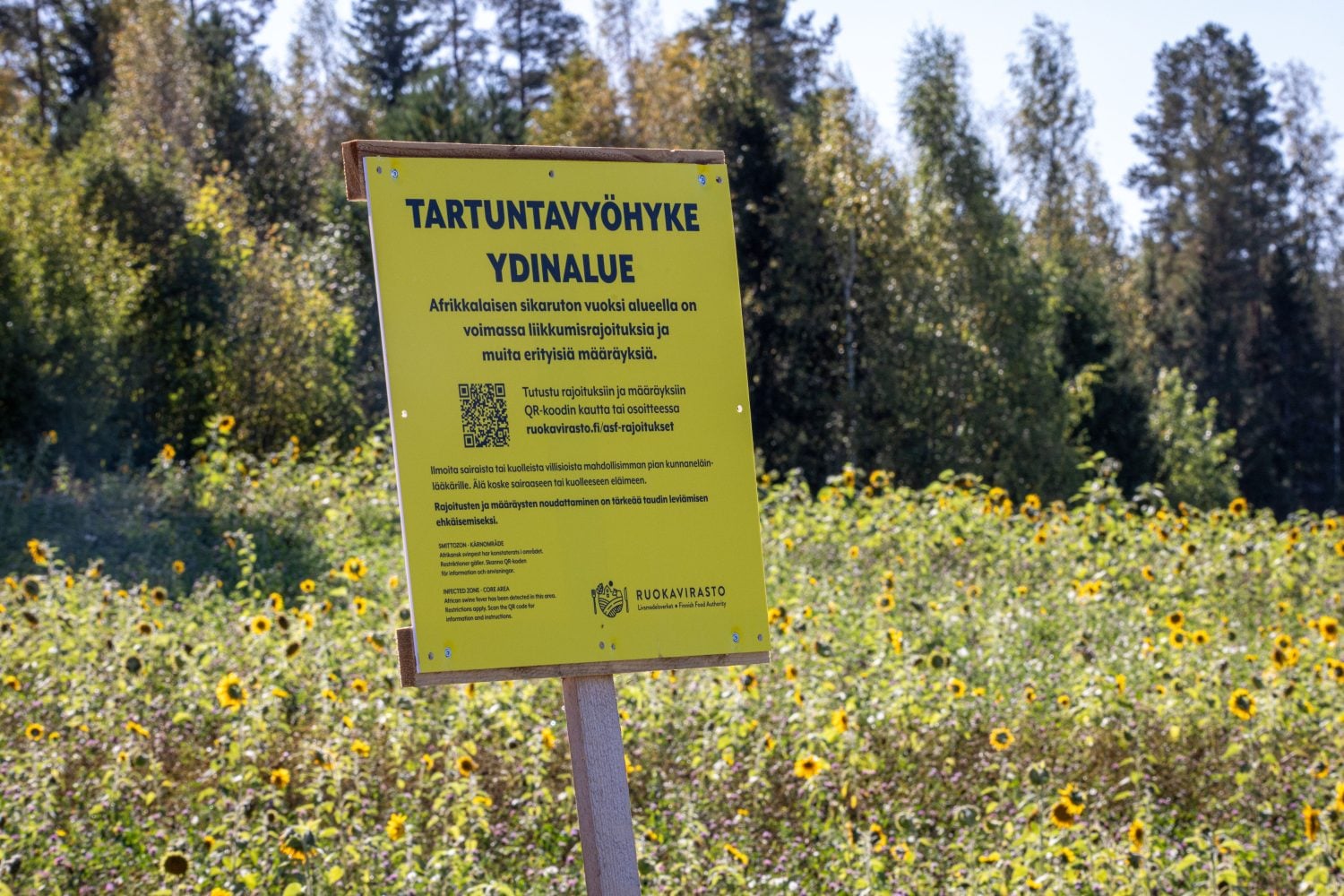 Sikarutosta varoittavia kylttejä Virolahden Vaalimaalla 14. syyskuuta.