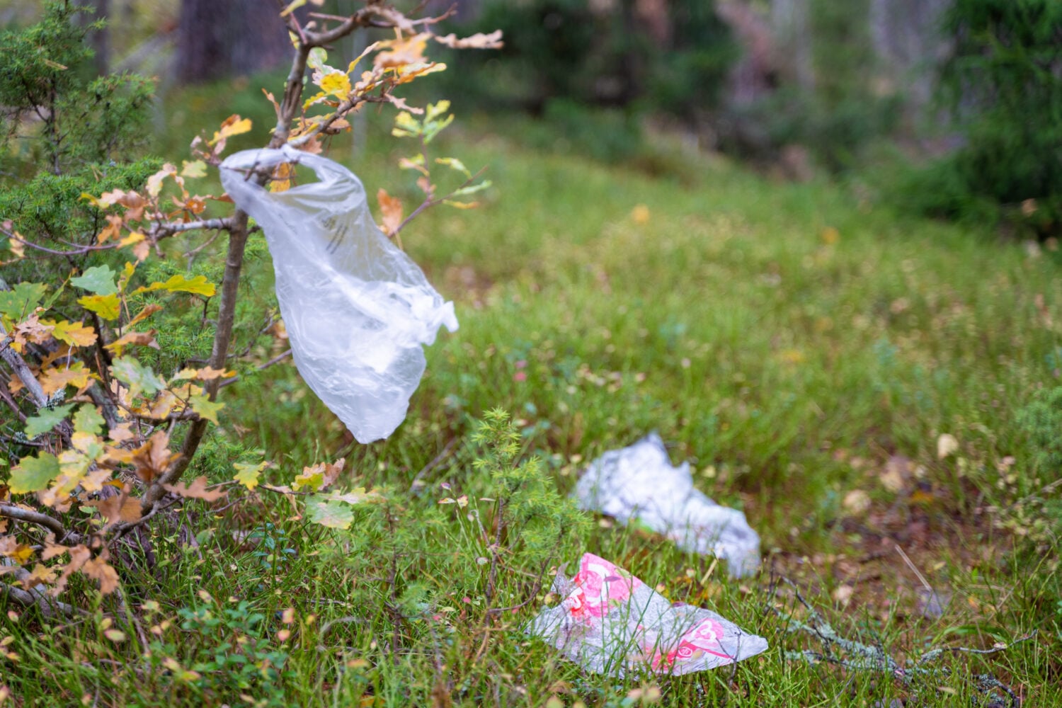 Luontoon päätyvät roskat ovat valitettavan yleisiä ihmisten piittaamattomuuden takia. RINKI