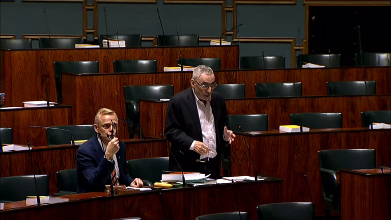 Timo Heinonen ja Ben Zyskowicz. Eduskunnan verkkolähetys