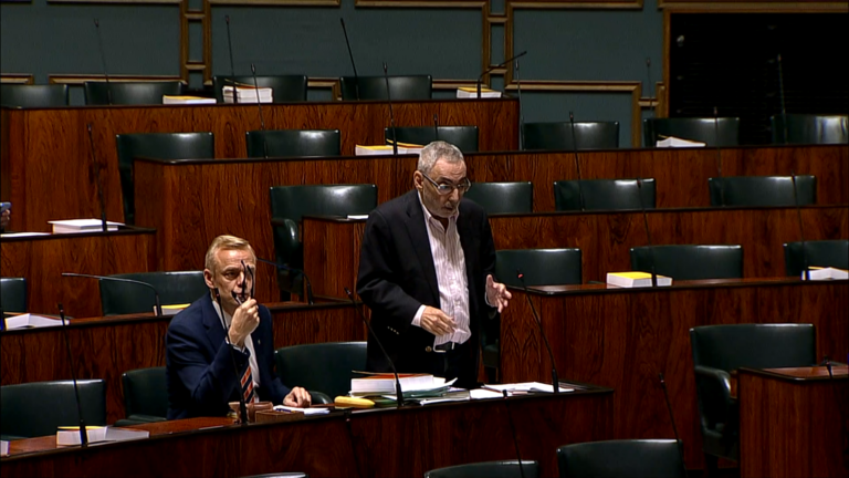 Timo Heinonen ja Ben Zyskowicz. Eduskunnan verkkolähetys